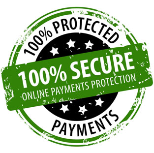 100% Secure Online Payment Protection