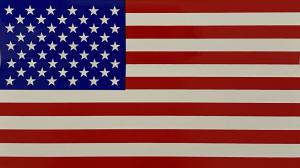 American Flag (Sticker)